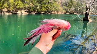 Fly Fishing Crystal Clear Water for a River Monster!! (Musky Fishing)