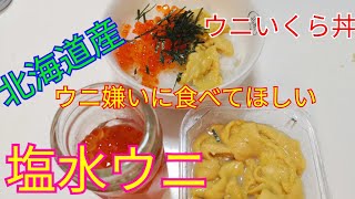 北海道産。ウニが好きになる。塩水ウニ、いくら。ウニいくら丼を食らう！