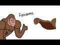 How To Get Big Forearms Explained By Ape