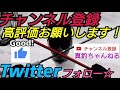 【ドンコ七番勝負】三回戦ドンコvs足長キモ虫