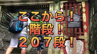 日光東照宮🤩特別な入り口@あの店長チャンネル