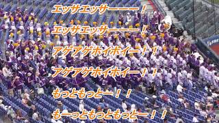 【高校野球応援】アゲアゲホイホイ　横浜創学館