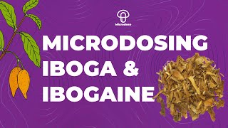 Microdosing Iboga & Ibogaine – a Prototype Tool for Consciousness Hacking | Molecular Masterclass
