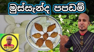 mussenda papadam | මුස්සැන්ද කොළ වලින් ලේසියෙන්ම පපඩම් හදමු | mussenda bite