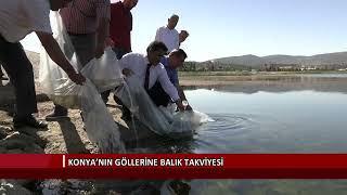 Konya’nın göllerine balık takviyesi