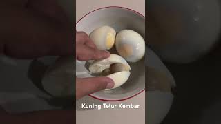 Kuning Telur Kembar | kalau netas gimana ya | #sorts #telur #kembar