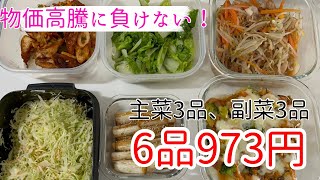 【節約】野菜たっぷり6品作り置き！物価高騰でも負けずに節約頑張ろう