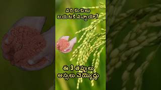 ఈ మూడు తప్పులు అస్సలు చెయ్యకండి 🙏|#panicals #inrice #intelugu