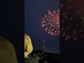 【初めての花火大会に行く9ヶ月の赤ちゃん】花火のマネをする【四人育児】9 months baby going to the first fireworks display