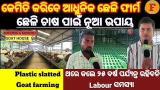 କେମିତି କରିବେ ଆଧୁନିକ ଛେଳି ଫାର୍ମ।।How to make Modern Goat farm।। Plastic slatted flooring #goatfarming