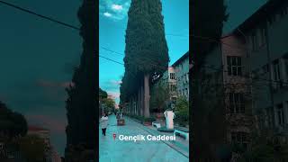 Muhteşem Aydın Sokakları #shortvideo