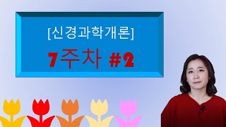 신경과학개론 7주차 #2