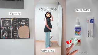 임신브이로그 | 쌍둥이 20주! 칼베임 사건..🔪 재봉틀 태교, 임신하고 잘 입었던 옷 추천! 초음파 다이어리 꾸미기 ♡…