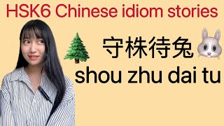 【 HSK6 第十五课】《成语故事：守株待兔》Chinese Idiom Story Advanced Chinese  上級中国語—守株待兔の意味・使い方 - 四字熟語❣ #hsk6