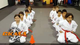 Kids Karate Kyokushin at Contact Kicks Martial Arts in Vaughan