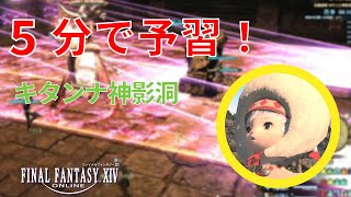 【FF14 初心者】5分で予習！キタンナ神影洞 【ギミック攻略】