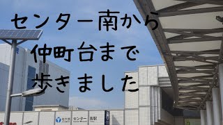 【素敵な思い出】センター南から仲町台まで散策ルートで歩いてみた