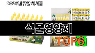 화분 꽃 식물 영양제 추천 Top6