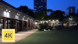 【4K】青山 緑に囲まれたカフェLittle Darling Coffee Roasters 外テラス席 fdr-ax60 夜景