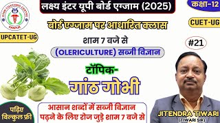 OLERICULTURE//बोर्ड छात्रों के लिए फ्री क्लासेज// TOPIC- knol khol (गांठ गोभी) // Jitendra Sir