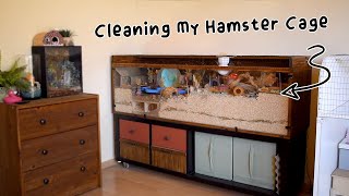 Clean My Hamster Cage With Me 🐹🍂🎃 + Treat Haul Unboxing!