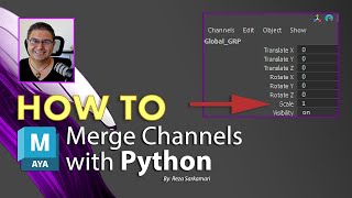 How To : Merge Transform Channels Using Python in Maya
