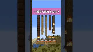 【マイクラ】どれが一番早く燃えるの？#shorts