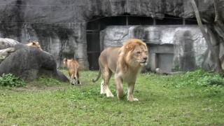 Taipei Zoo, 2009