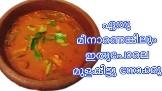 മുളക് കറി ഒരുതവണയെങ്കിലും ഇതുപോലെ ഉണ്ടാക്കി നോക്കൂ / മീൻ മുളകിട്ടത്/ fish curry