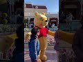 【ほのぼのプーさん】フリーグリーティング ディズニーランド disney