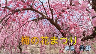 美郷の梅が見頃【徳島県吉野川市】