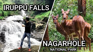 Iruppu Falls | Nagarhole National Park | COORG