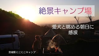 【絶景ソロキャンプ】愛犬と眺める朝日に言葉を失い…感涙