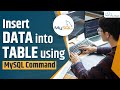 MySQL Add Data Into Tables using the INSERT Query | MySQL Tutorial for Beginners