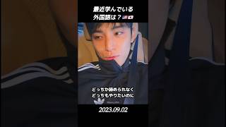 【セブチ/ミンギュ】　最近学んでいる外国語は？🇺🇸🇯🇵 #seventeen #ミンギュ