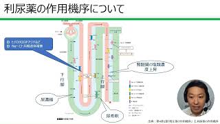 利尿薬の作用機序