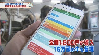 IT・AI活用　ムダを省いて稼ぐ！１次産業①　2017年8月5日放送