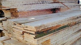 500 lembar papan kayu kapuk/randu di gergaji sawmill bahan cor rumah || woodworking