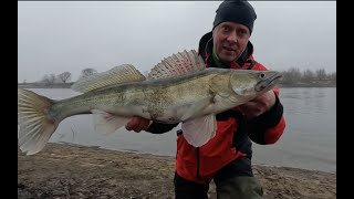 ДЖИГ! Трудовые рыбалки в январе, рыбалка в оттепель! Москва-река, Зимний спиннинг!