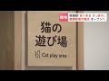 「動物たちにとっても、飼い主にとっても幸せに…」保護された犬や猫などがのびのび、動物愛護管理センター「あいまるさっぽろ」開所へ