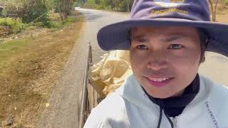 Fresh vegetables grown at home are ideal for making tuk kroeung