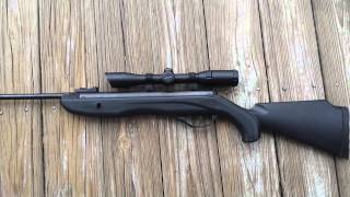 Crosman Phantom Pellet Gun Review