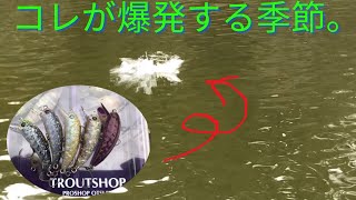 去年も釣れまくったこれが効く季節がやってきました。【エリアトラウト】