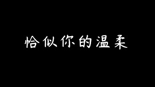 2021天籁之音 一曲入魂  恰似你的温柔（无损音质 动态歌词）