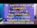 KIDUNG SURGAWI, KARAOKE, TRI HARTONO, LANANG BANDARA MUSIK