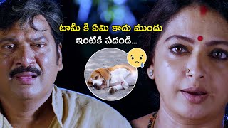 టామీ కి ఏమి కాదు ముందు ఇంటికి పదండి..... | Tommy Movie Scenes | Rajendra Prasad | Seetha | LB Sriram