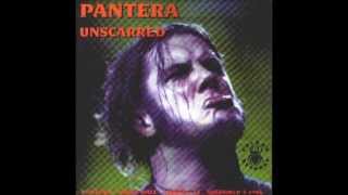 5)PANTERA - Walk - Unscarred 96' Rare