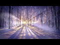 enigmatic world chillout mix music 2021 relax music