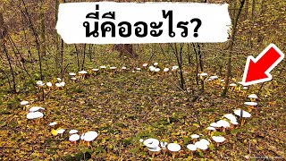 11 ปรากฏการณ์ลึกลับทางธรรมชาติที่ไม่ได้เห็นกันง่าย ๆ หากไม่มีโชค