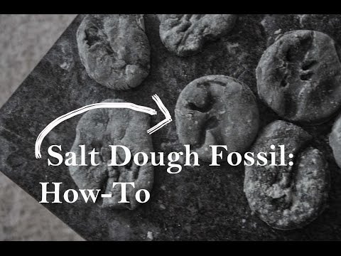 Salt Dough Dinosaur Fossils: How-To Salt Dough Dinosaur Fossils: How-To